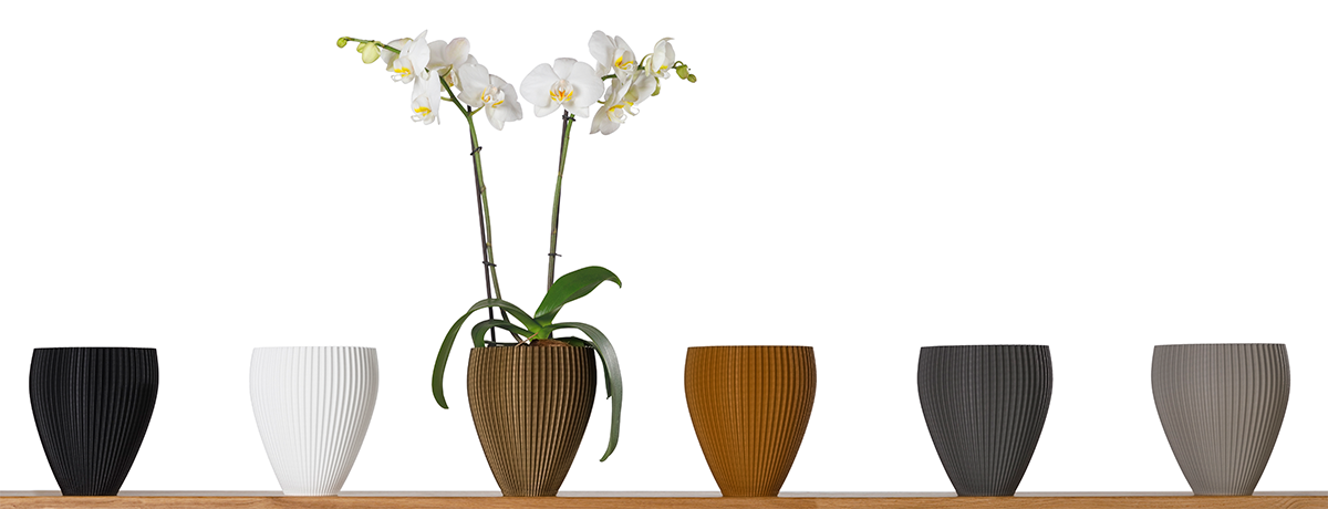 3D Orchideentöpfen von 3D Vase